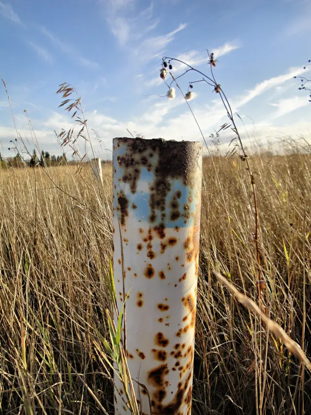 Rusty pipe post in prairie grass